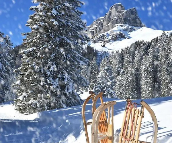 Parkareal 504 By Interhome * Davos